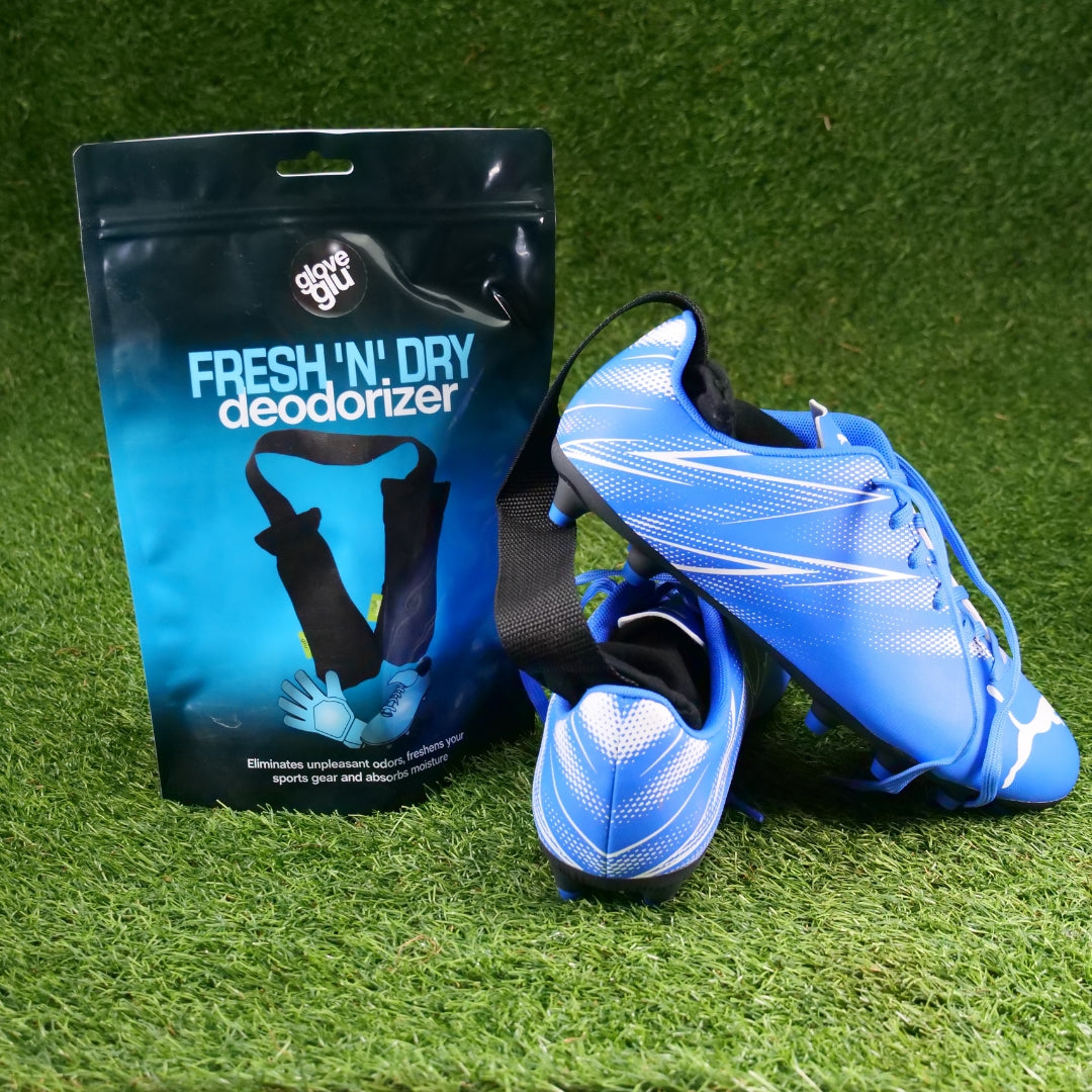 Fresh 'n' Dry Deodorizer