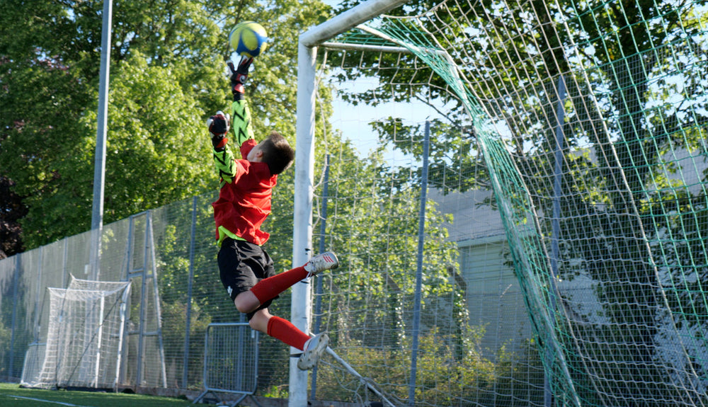 Helping Young Keepers Shine